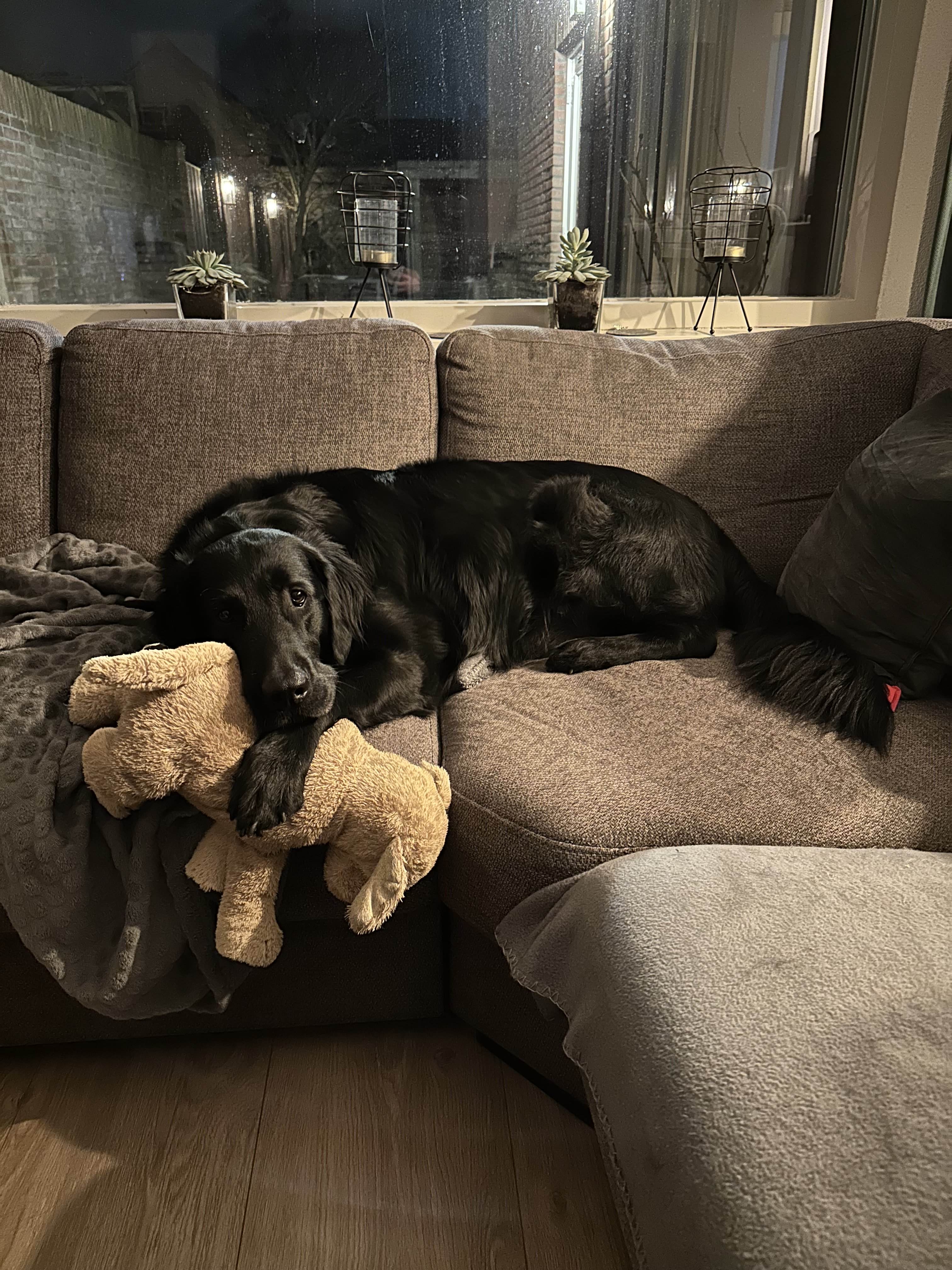 Mats, Chief of Happiness